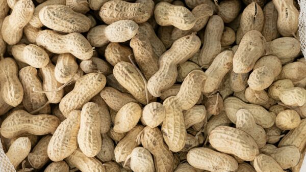 A bag filled with groundnuts sitting on a table
