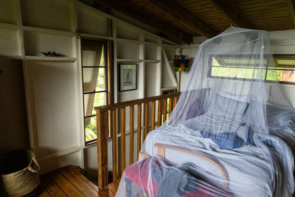 A bed covered by a mosquito net in a bedroom