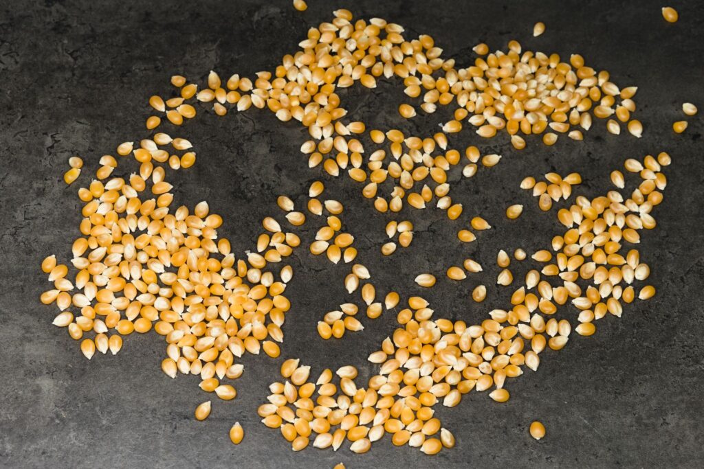 Golden corn kernels scattered on a black surface