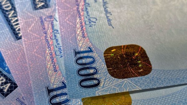 A close-up of Nigerian naira banknotes showing their design and texture