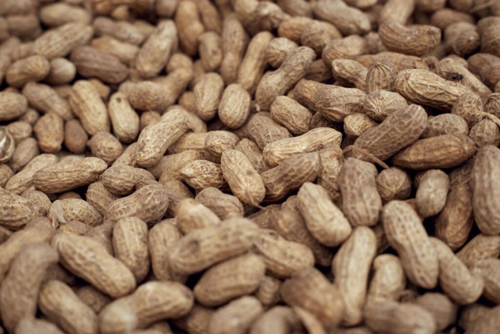 A close-up of raw groundnuts in their shells